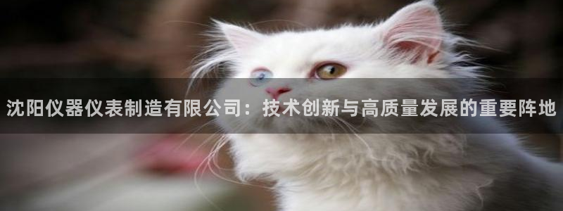 云顶国际服s11什么时候更新
