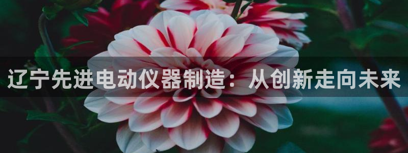 云顶国际区块链怎么样啊：辽宁先进电动仪器制造：从创新走向未来