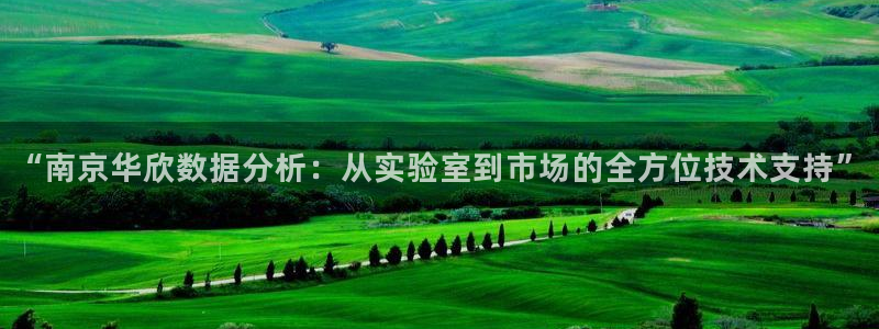 云顶集团有限公司是国企吗：“南京华欣数据分析：从实验室到市场