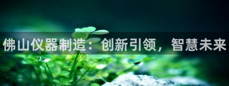云顶国际晟荣协会：佛山仪器制造：创新引领，智慧未来