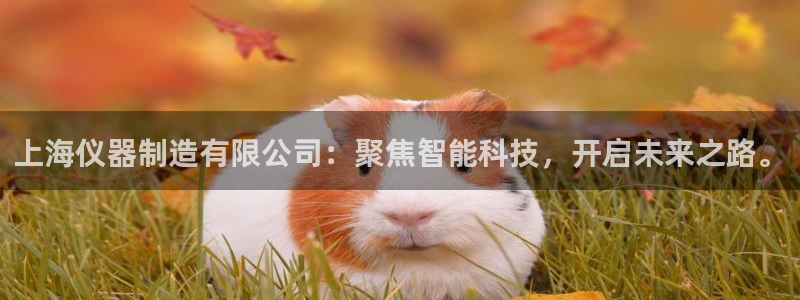 云顶国际部：上海仪器制造有限公司：聚焦智能科技，开启未来之路