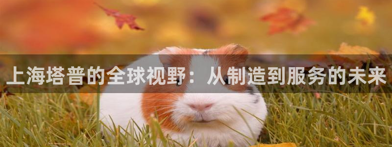 云顶电竞下载：上海塔普的全球视野：从制造到服务的未来