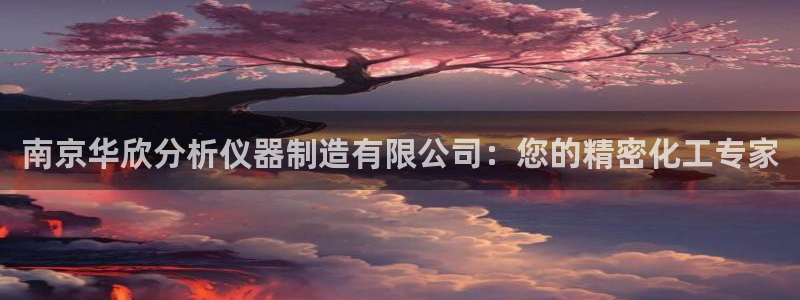 云顶国际俱乐部怎么样：南京华欣分析仪器制造有限公司：您的精密