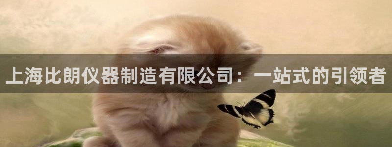 云顶国际广场房价