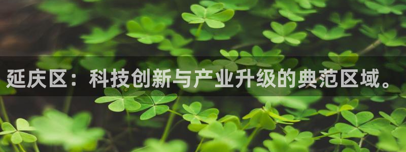云顶国际公馆物业电话：延庆区：科技创新与产业升级的典范区域。