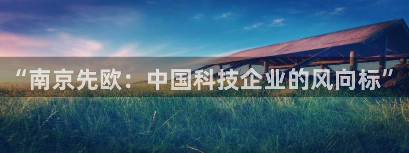 云顶国际服怎么下：“南京先欧：中国科技企业的风向标”
