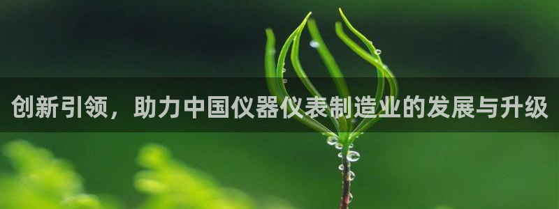 云顶集团总裁