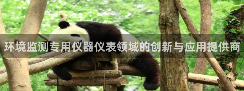 云顶国际在线登录不了：环境监测专用仪器仪表领域的创新与应用提