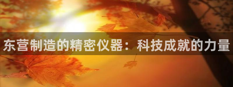 云顶集团游戏app月底为什么赢不到钱了：东营制造的精密仪器：