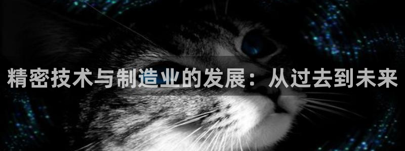 云顶国际app官方网站