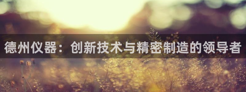 云顶国际ktv怎么样：德州仪器：创新技术与精密制造的领导者