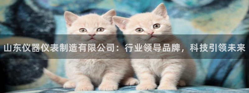 云顶集团游戏app苹果版：山东仪器仪表制造有限公司：行业领导