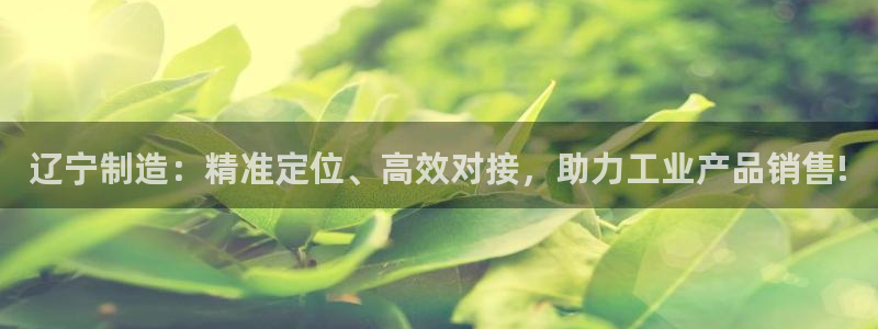 云顶集团网投：辽宁制造：精准定位、高效对接，助力工业产品销售