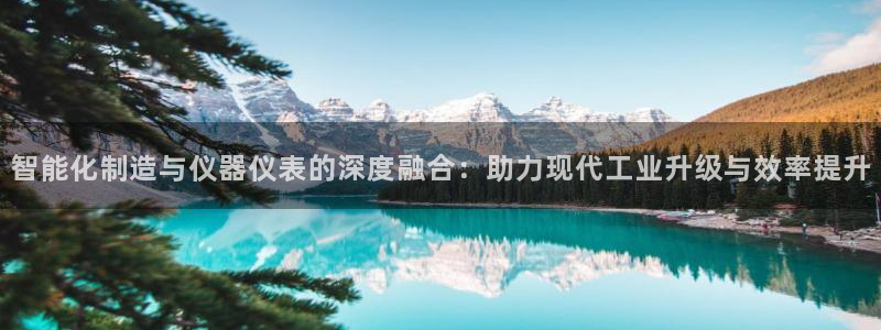 云顶国际的网址是多少：智能化制造与仪器仪表的深度融合：助力现