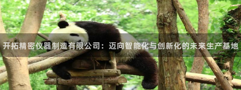 云顶集团网投：开拓精密仪器制造有限公司：迈向智能化与创新化的