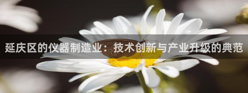 云顶国际服s11什么时候上线：延庆区的仪器制造业：技术创新与