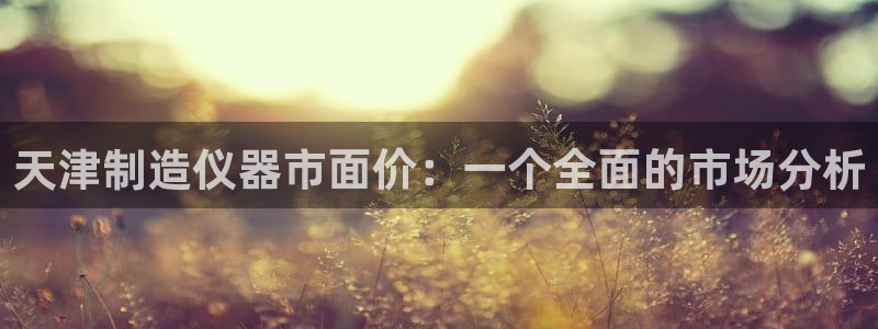 云顶国际游戏网址是什么：天津制造仪器市面价：一个全面的市场分