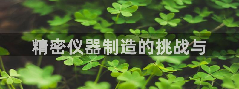 云顶国际高中学费多少：精密仪器制造的挑战与