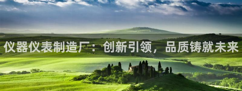 2322云顶国际手机版：仪器仪表制造厂：创新引领，品质铸就未