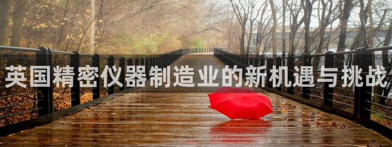 云顶集团3118：英国精密仪器制造业的新机遇与挑战