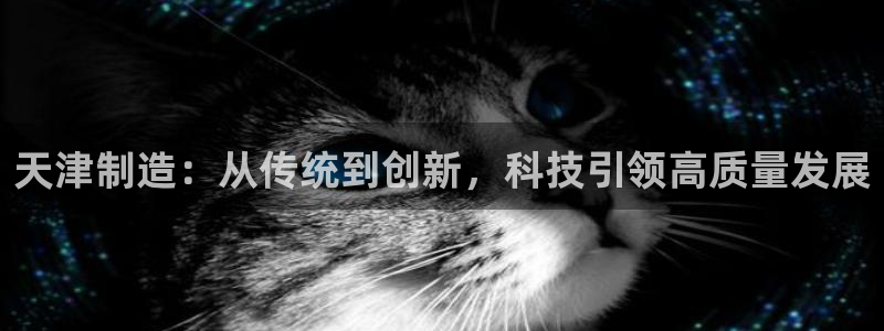 云顶集团有限公司是国企吗：天津制造：从传统到创新，科技引领高