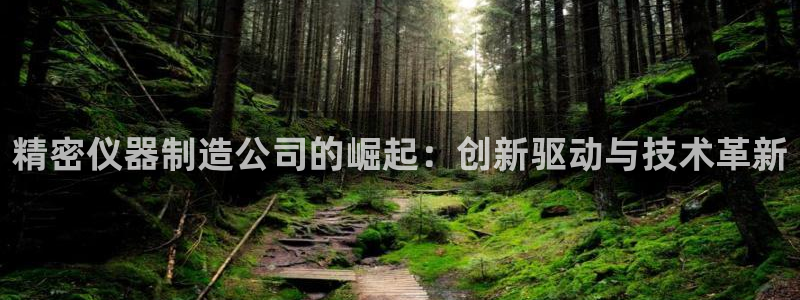 云顶集团董事长是谁：精密仪器制造公司的崛起：创新驱动与技术革