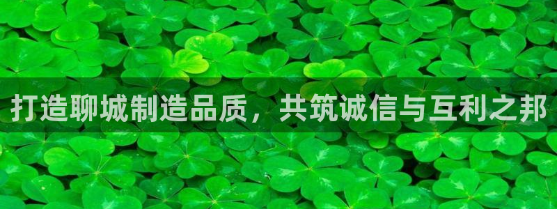 云顶国际怎么进不去了：打造聊城制造品质，共筑诚信与互利之邦
