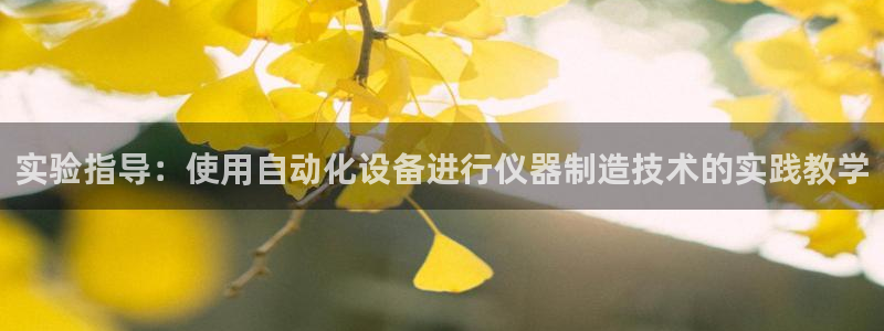 云顶国际集团app：实验指导：使用自动化设备进行仪器制造技术