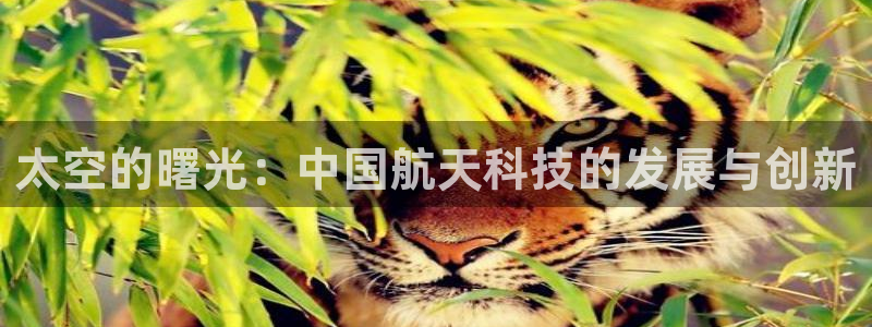 云顶国际服更新s11了吗：太空的曙光：中国航天科技的发展与创