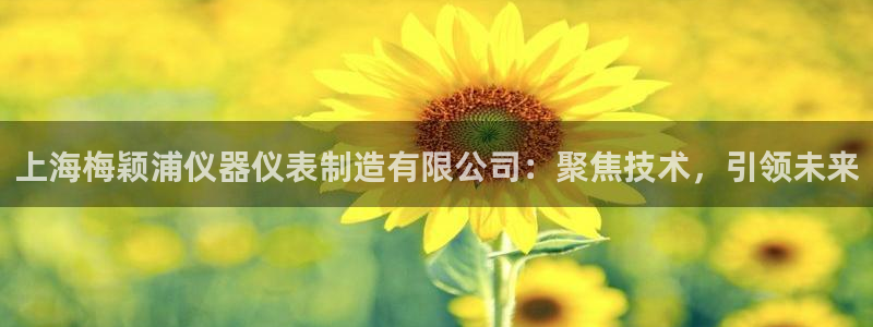 淮北云顶国际俱乐部电话：上海梅颖浦仪器仪表制造有限公司：聚焦