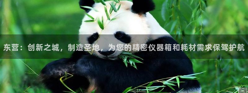 云顶最新线路检测：东营：创新之城，制造圣地，为您的精密仪器箱