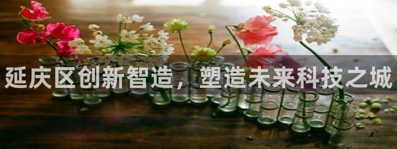 云顶国际培训中心官网：延庆区创新智造，塑造未来科技之城