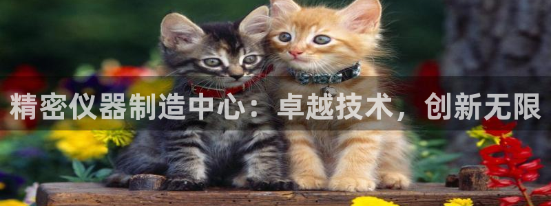 云顶国际app官方网站下载安装：精密仪器制造中心：卓越技术，