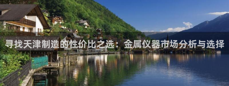 云顶国际的网址是多少：寻找天津制造的性价比之选：金属仪器市场