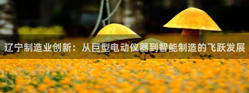 云顶国际平台游戏官网：辽宁制造业创新：从巨型电动仪器到智能制