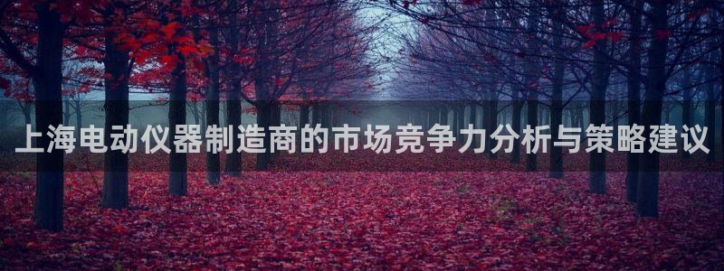 云顶集团3118acm登录入口：上海电动仪器制造商的市场竞争