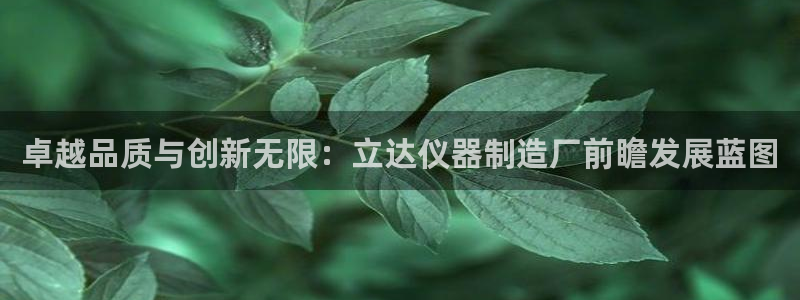 云顶国际网页：卓越品质与创新无限：立达仪器制造厂前瞻发展蓝图