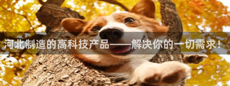 云顶国际百度百科：河北制造的高科技产品——解决你的一切需求！