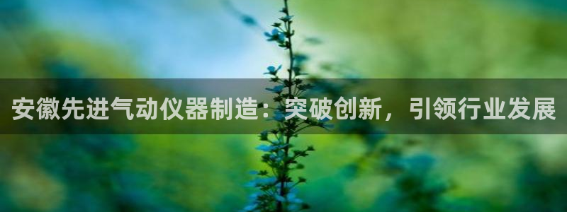 云顶国际牡丹会是什么：安徽先进气动仪器制造：突破创新，引领行