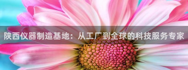 淮北云顶国际洗浴电话：陕西仪器制造基地：从工厂到全球的科技服