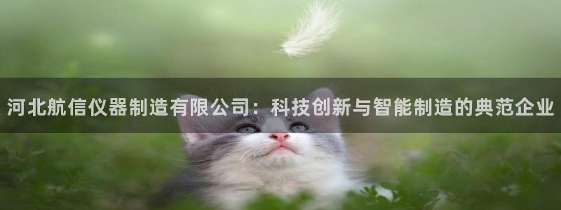 云顶官网网址：河北航信仪器制造有限公司：科技创新与智能制造的