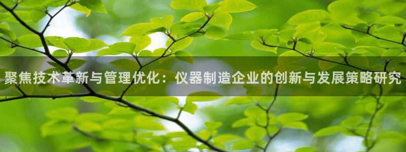 云顶国际服几个月不玩能不能登录：聚焦技术革新与管理优化：仪器