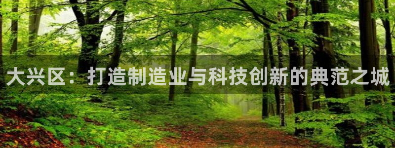 云顶国际商业广场a座101层：大兴区：打造制造业与科技创新的