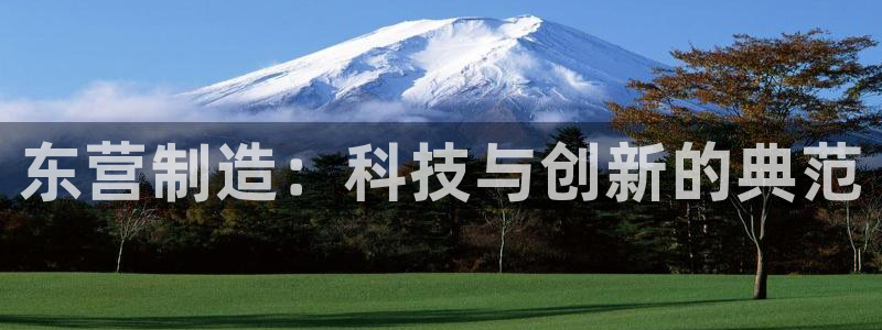 云顶国际物流有限公司：东营制造：科技与创新的典范