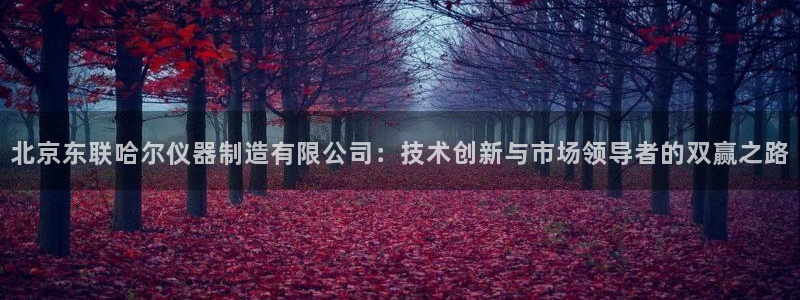 云顶国际版怎么下载：北京东联哈尔仪器制造有限公司：技术创新与