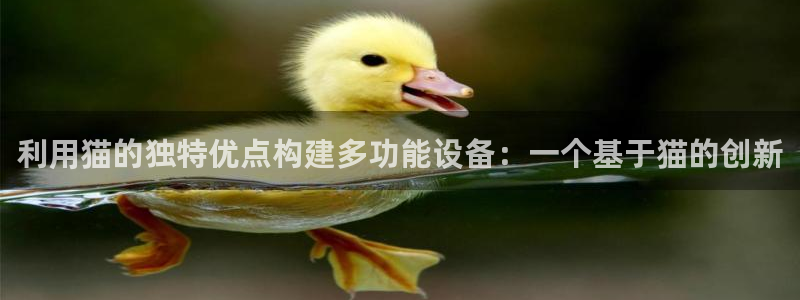 云顶国际取款多久到账啊：利用猫的独特优点构建多功能设备：一个