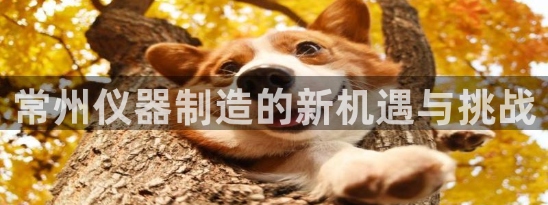 云顶国际高中学费多少：常州仪器制造的新机遇与挑战