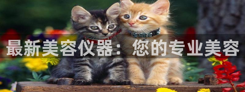 云顶集团官网电话是多少：最新美容仪器：您的专业美容