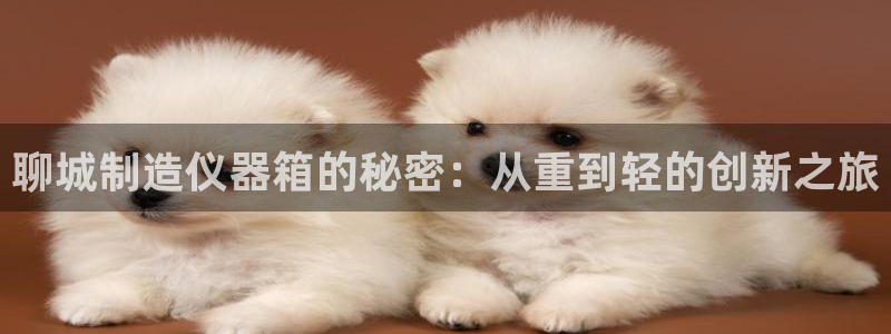 云顶esl：聊城制造仪器箱的秘密：从重到轻的创新之旅