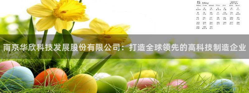 云顶国际服和端游互通吗：南京华欣科技发展股份有限公司：打造全